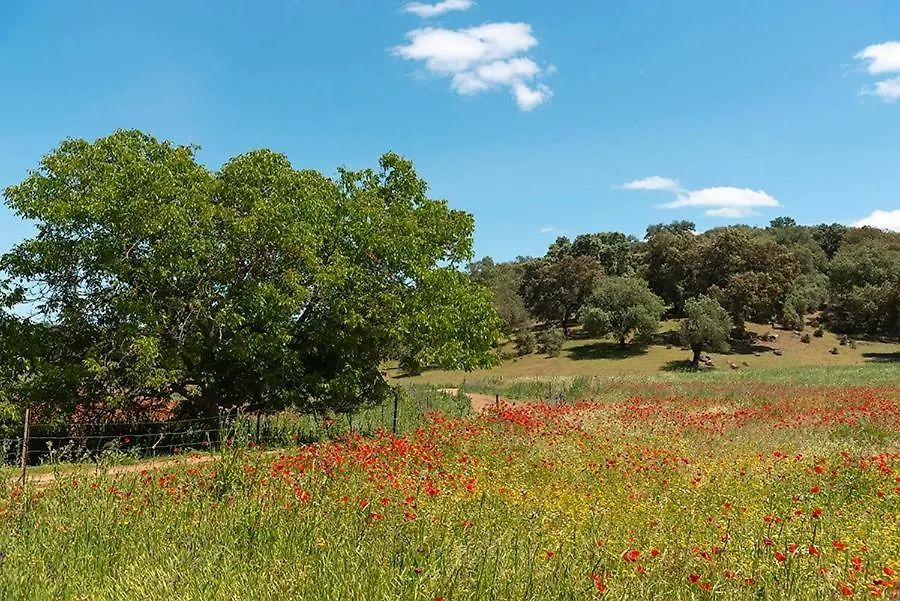 Casa Rural Nacimiento del Huéznar - Tomillo 23 San Nicolás del Puerto